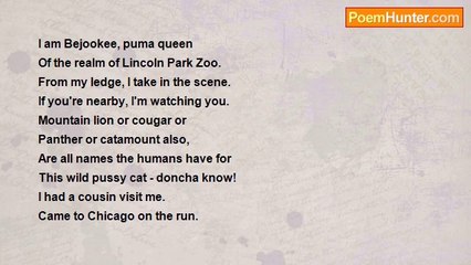 Ima Ryma - Bejookee - Lincoln Park Zoo