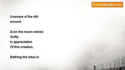 Arti Chopra - THE LOTUS BLOOMS