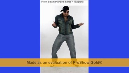 FLORIN SALAM - PLANGEA MAMA IN FATA PORTII