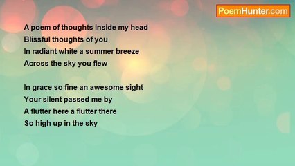 Bradley Lester - A Poem of Thoughts