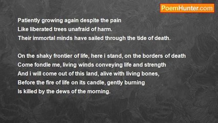 Warrith Olawale - The Land Of The Dead