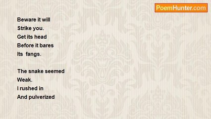 Mary Mc Creath - dream-The Snake