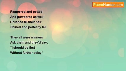 Marilyn Lott - Charming Cat Show