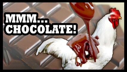Chocolate Chicken? Now They're Just Screwing With Us - Food Feeder