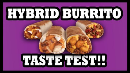 Chili Cheese Fries IN A Burrito?? - Food Feeder