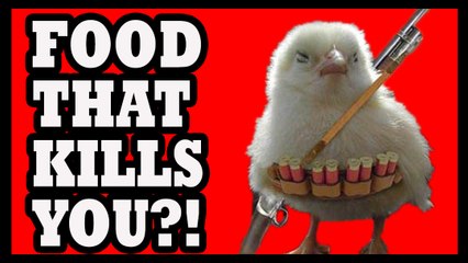 Return of Killer Chicken! - Food Feeder