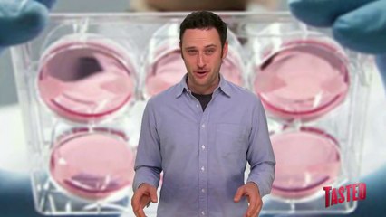 Test-Tube Burger!? - The Food Feeder