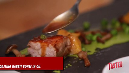 Braised Bunny Rabbit Recipe - Cookup a Hookup