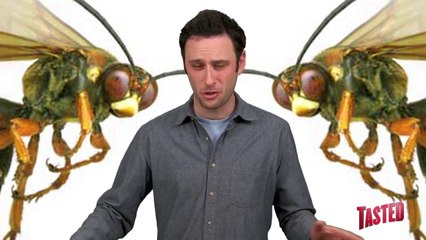Deadly Wasp Vodka?! - Food Feeder