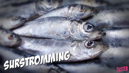 Surströmming! You Asked, We Delivered - Why Would You Eat That?