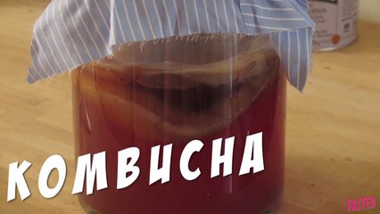 Kombucha aka Bacteria Filled Tea - Why Would You Eat That?
