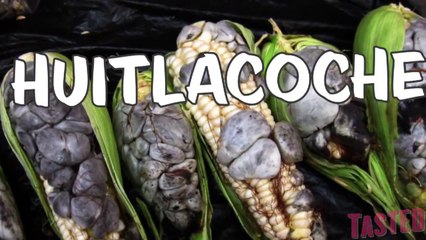 Huitlacoche aka Corn Fungus