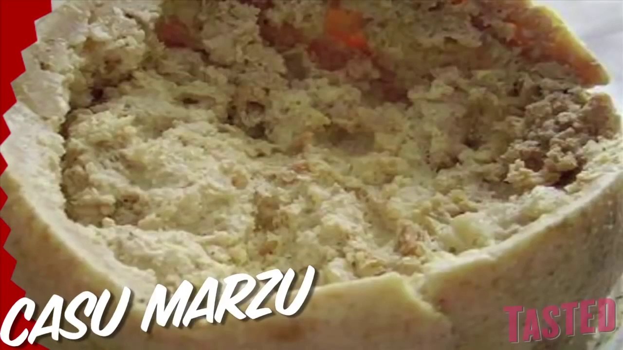 Casu Marzu aka Maggot-Filled Cheese - Why Would You Eat That? - video ...
