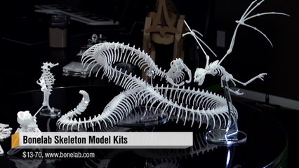 Show and Tell: Bonelab Skeleton Kits