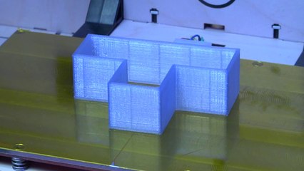 MakerBot Mystery Build: Line Waiting