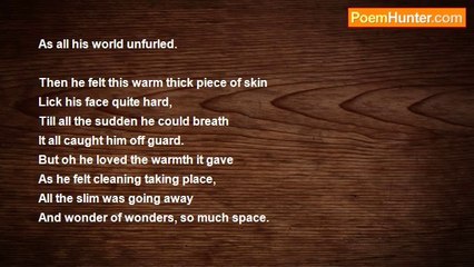 Marie Glass - A Puppy’s First Trip