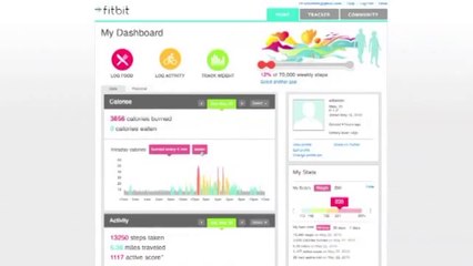 First Look at the Fitbit Tracker