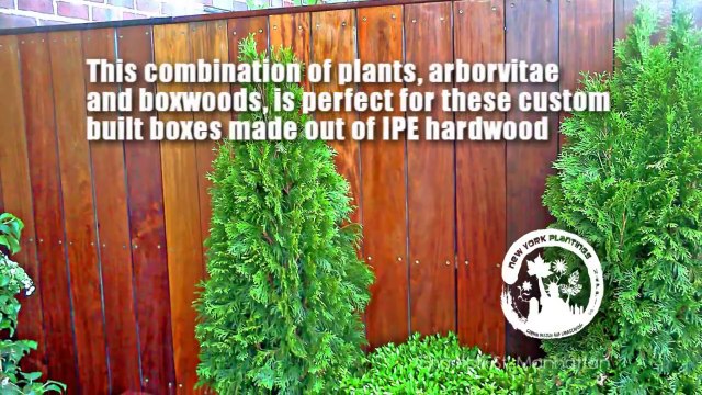 IPE Custom Planter Boxes make your Terrace or Rooftop Garden Outstanding
