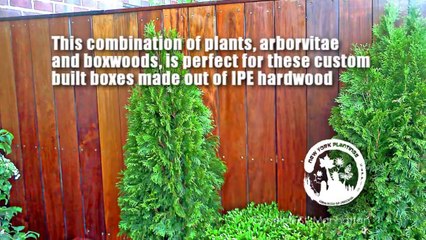 IPE Custom Planter Boxes make your Terrace or Rooftop Garden Outstanding