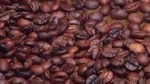 How To Roast Your Own Coffee Beans at Home