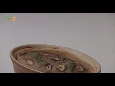Recette de Terrine de lapin - 750 Grammes