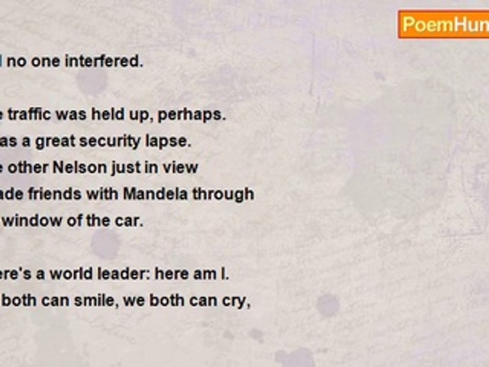 Sally Evans - Free Mandela      [ Nelson Mandela ]