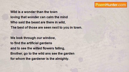 Nithin Geo Thomas Kurakar - Wonder Wild