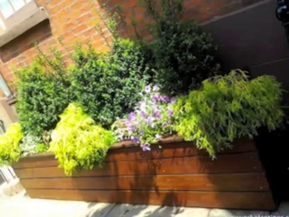 New York Plantings Garden Designers and Landscape Contractors