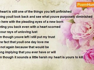 shaniya hunt - My Hearts Unspoken Words