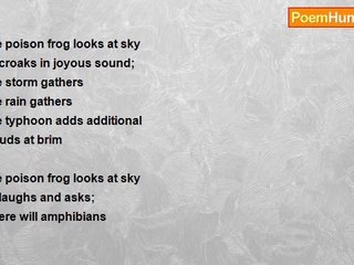 David Aoloch Bion - The  Poison Frog