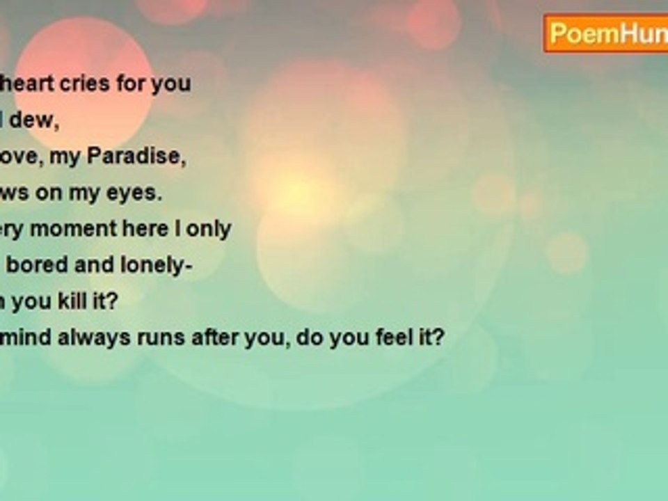 Sayeed Abubakar - My Paradise