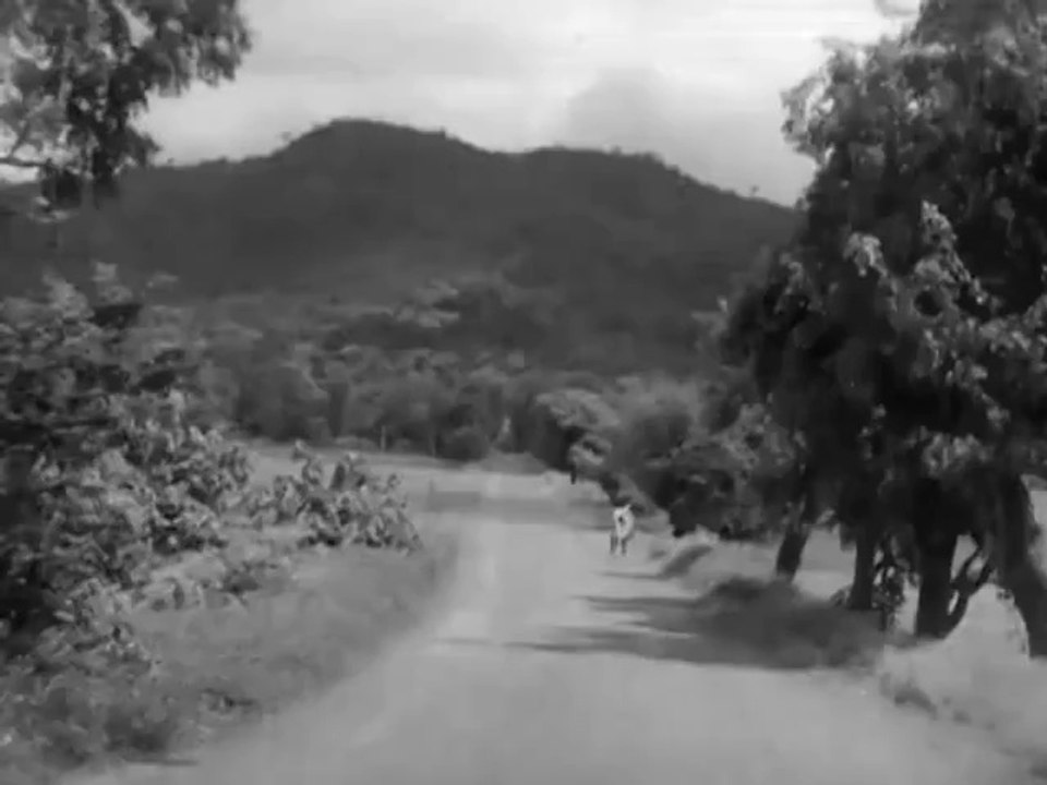 Bachpan Ke Din Bhoolana Dena (Female) - Bollywood Hit Classic Movie Song - Deedar