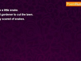 Anie Vans - Haiku - Saw a Snake