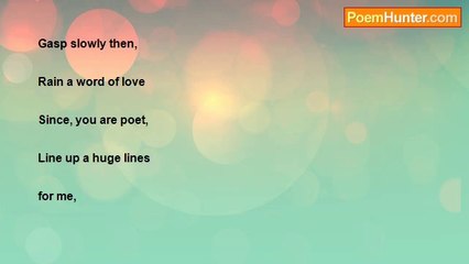 Ibrahim Lawal Soro - Little Bird