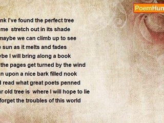 James Harris - My Favorite Tree