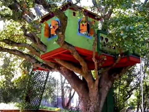 New York Plantings' Tree House Concept in Garden Designs for Residential and Commercial Gardens
