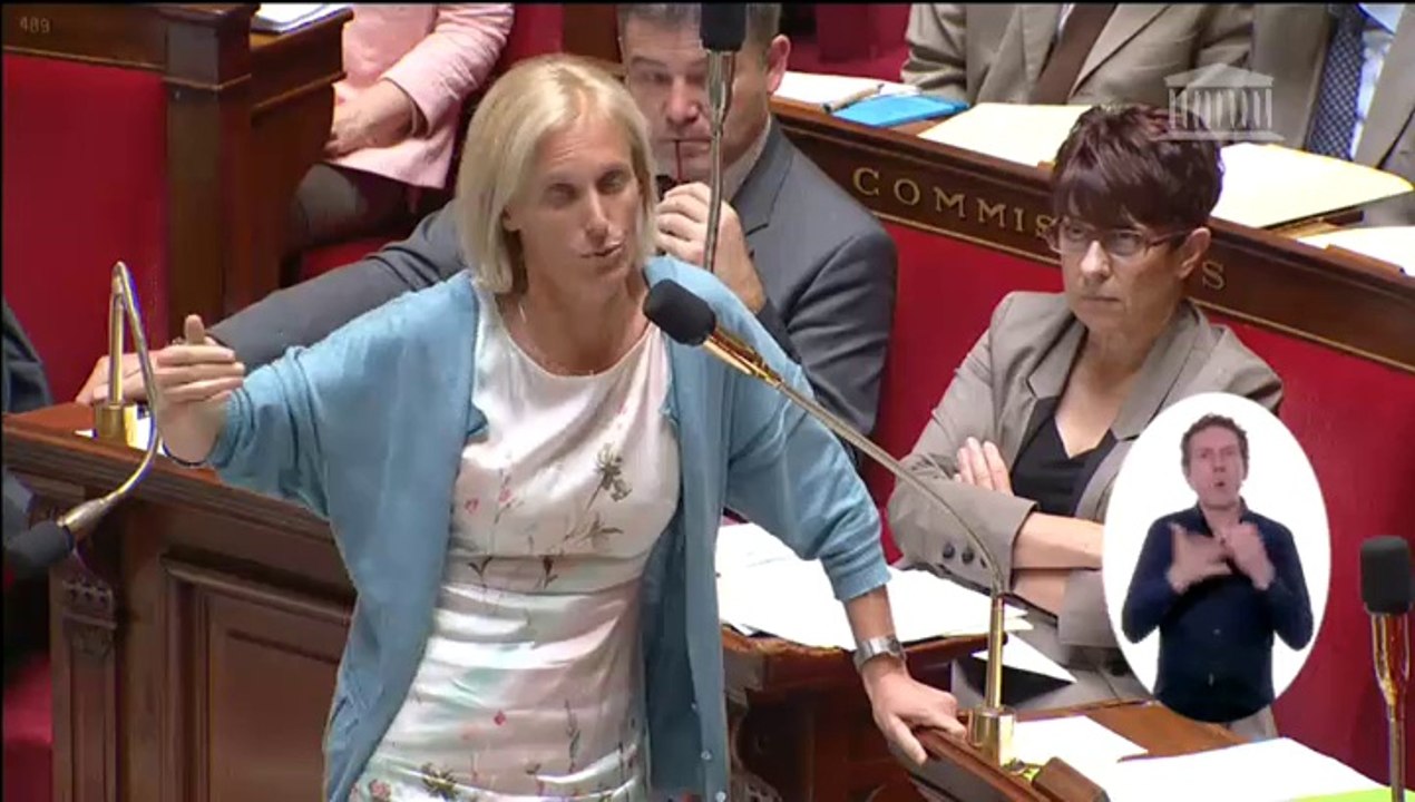 MISE EN ACCESSIBILITÉ DES ÉTABLISSEMENTS RECEVANT DU PUBLIC, DES TRANSPORTS PUBLICS, DES BÂTIMENTS D'HABITATION ET DE LA VOIRIE (suite) - Mercredi 11 Juin 2014