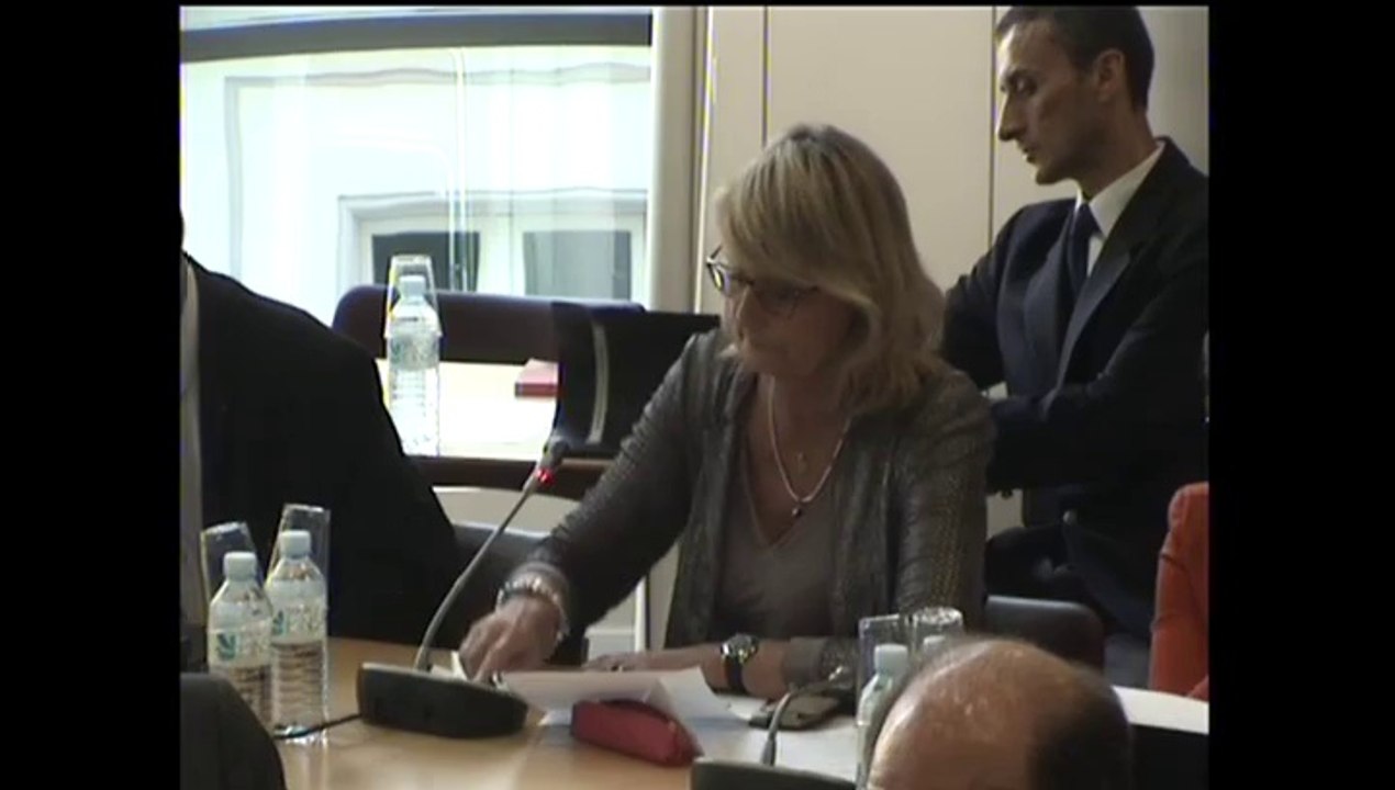 Audition de MM. Camille Grand, dir de la Fondation pour la recherche  stratégique, Etienne de Durand, Institut français des relations internationales - Mercredi 11 Juin 2014