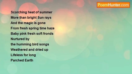 Nalini Chaturvedi - Sun Burns