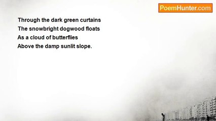 Heather Z. Hanna - The Dogwood Tree