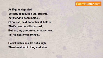 Denis Martindale - Dignified