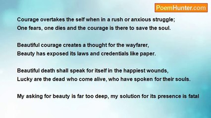 Naveed Akram - Beautiful Courage