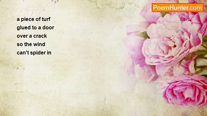 Liam ó Comáin - TURF