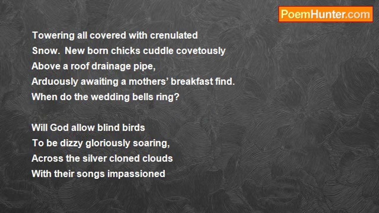 Lisa Rhodes - When Do The Wedding Bells Ring