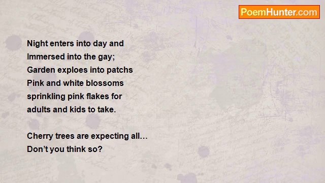 Almedia Knight Oliver - Sakura Matsuri Cherry Blossoms in May