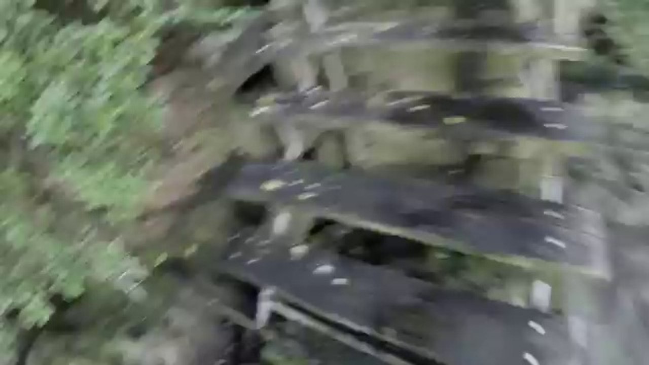 Un homme plonge et se retrouve nez-à-nez avec un requin blanc