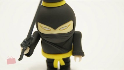 Clé USB Ninja