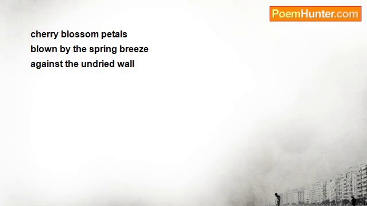 Masaoka Shiki - cherry blossom petals