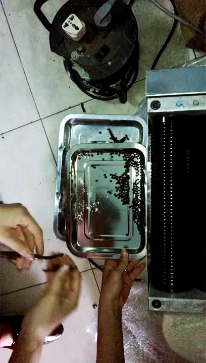 Máy làm viên hoàn thuốc DZ20/ máy làm viên thuốc đông y DZ20