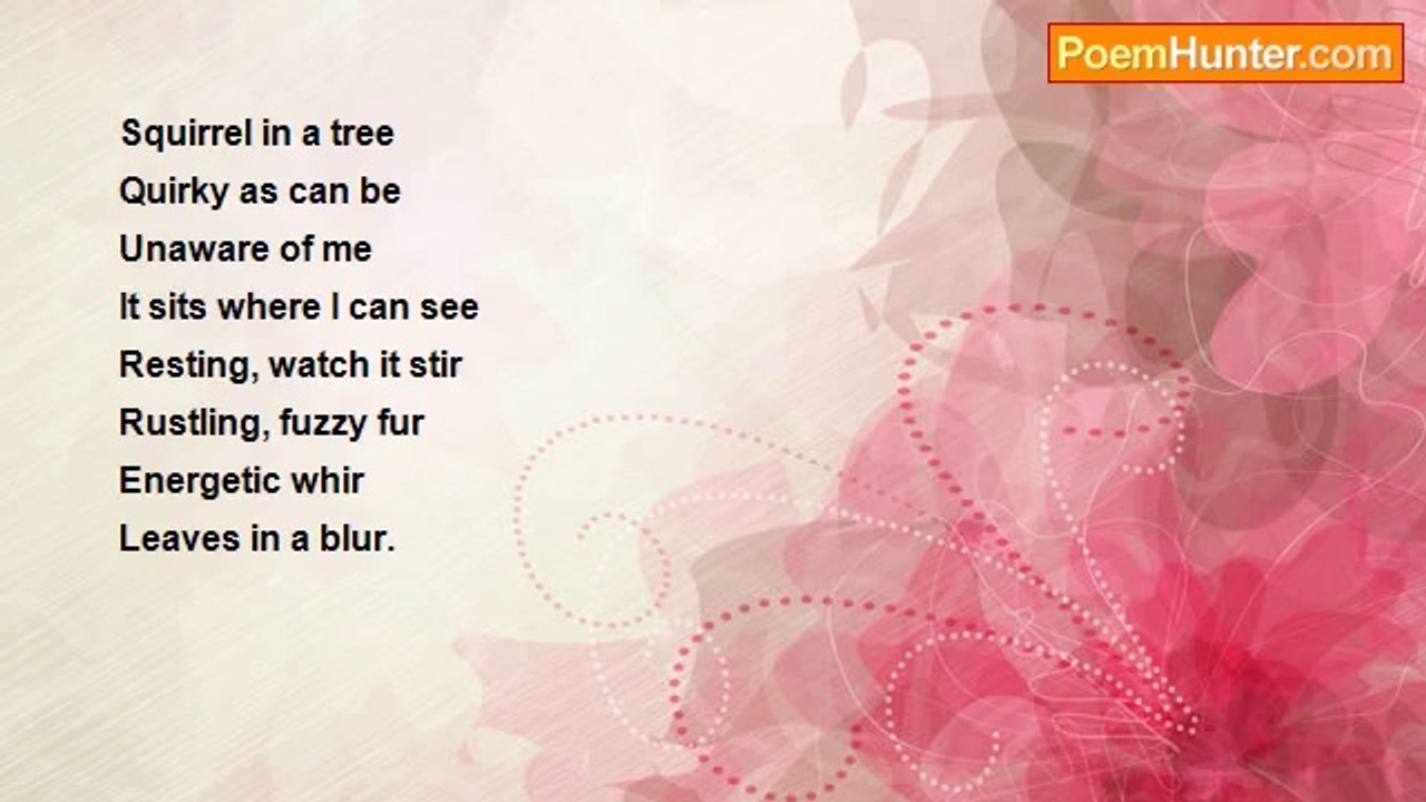 Casey Mackay - Squirrel Acrostic